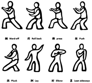 Stiluri de Taichi Chuan